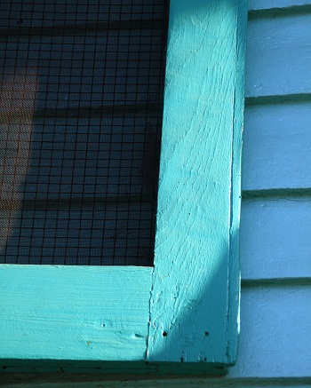 Sharon Wells Blue Windows Tile