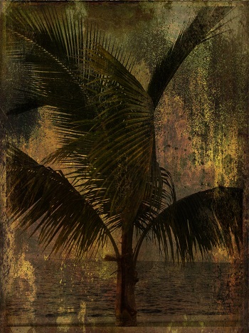 Print - Palm, Ancient
