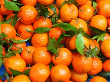 Print - Paris Oranges
