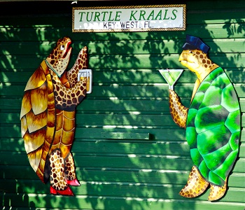 Print - Turtle Kraals
