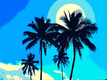 Print - 5 Palms 