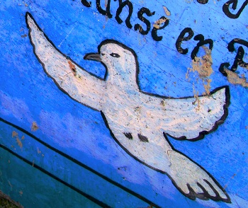 Print - Dove on Blue
