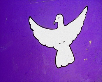 Sharon Wells Dove on Purple