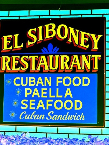 Sharon Wells El Siboney Tile