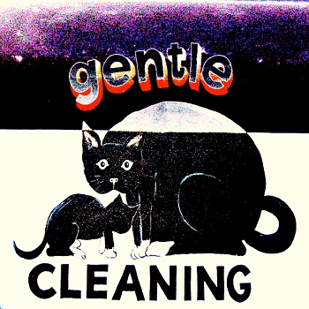 Sharon Wells Gentle Cleaning Tile