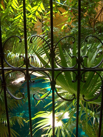 Print - Pool Through Gate
