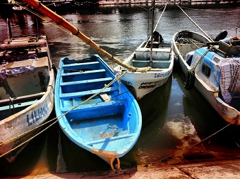 Sharon Wells Wooden Boats Tile